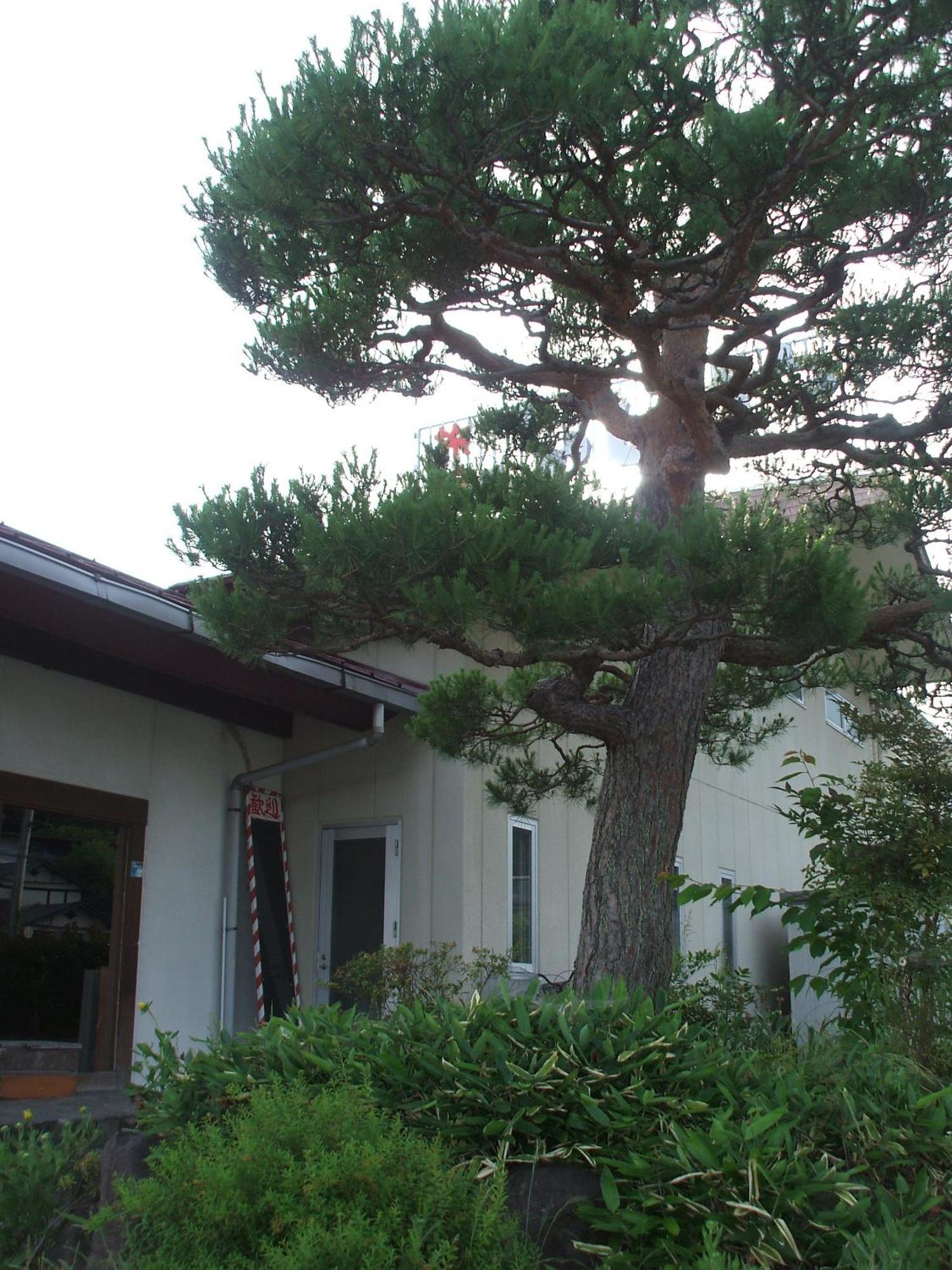 Annex Fujiya Ryokan Kaminoyama Zewnętrze zdjęcie